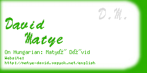 david matye business card
